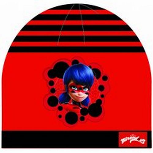 Gorro invierno Ladybug