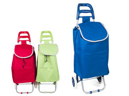 Carro de la compra metal