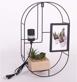 Lámpara de pared con jardín decorativo 25 x 40 cm