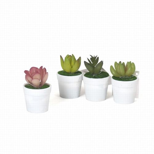 Maceta mini Cactus  4.50x4.50x7.50 cm
