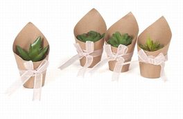 Maceta mini Cactus artificial 8 x 8 x 13 cm