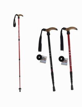 Bastón de senderismo ajustable 50/110 cm