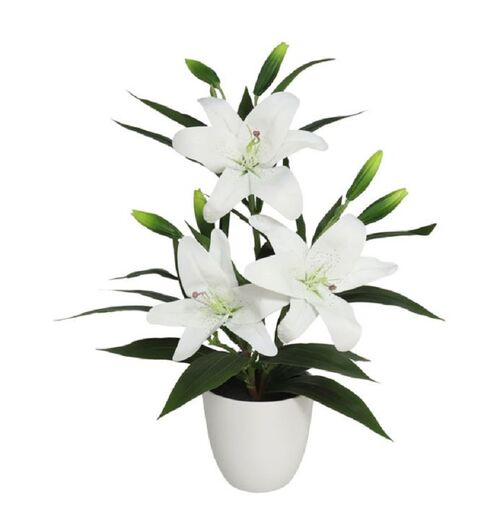 Maceta Lily 57cm