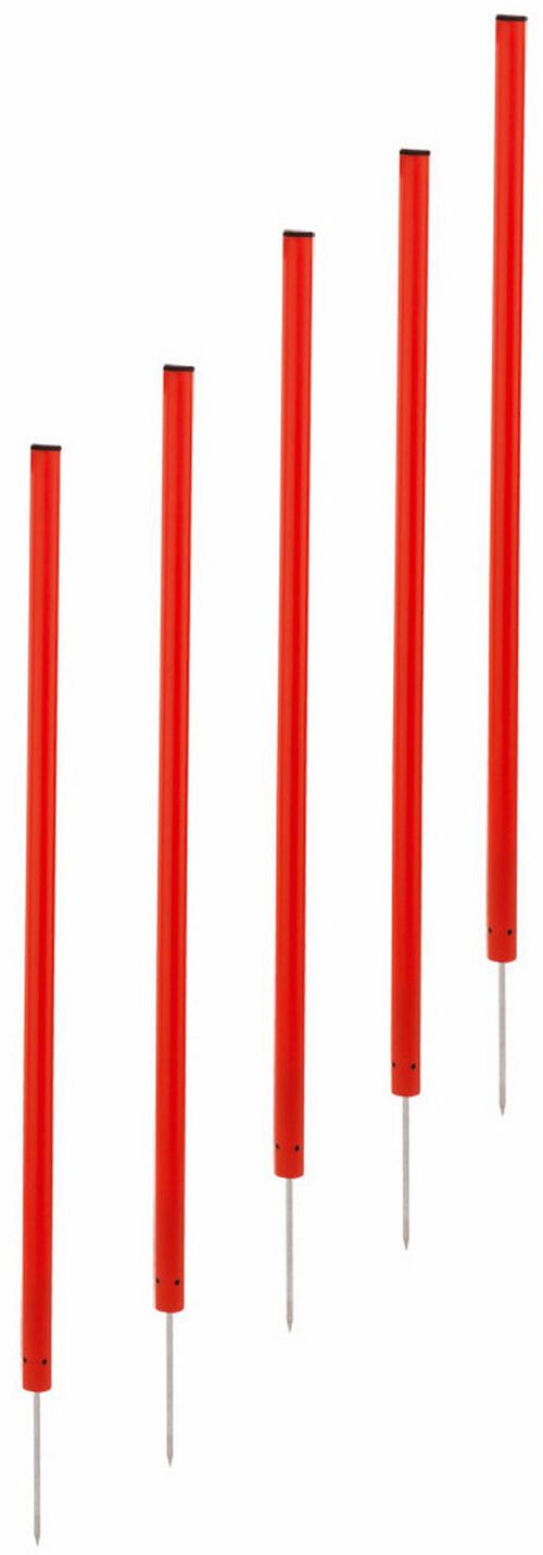 Set 5 picas divisible roja 40 cm