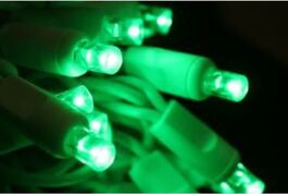 Guirnalda cordón LED profesional 12m color verde 220V