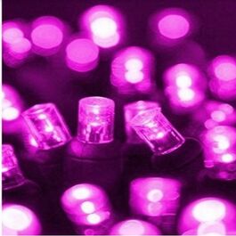 Guirnalda cordón LED profesional 12m color morado púrpura 220V