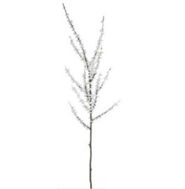 Rama de Berrys Blancos