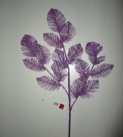 Hoja 15 Ramas Fucsia
