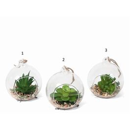 Maceta cristal Manzana planta jardín 8 x 8 x 8 cm