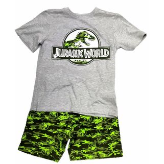 Conjunto verano gris Jurassic World