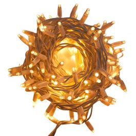 Guirnalda cordón LED profesional 60m color blanco cálido 220V