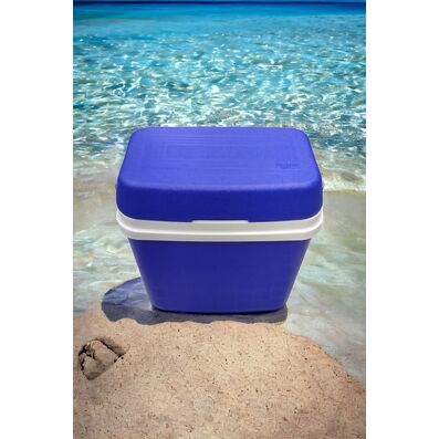 Nevera portátil azul 32 L 44,5 x 39 x 23 cm
