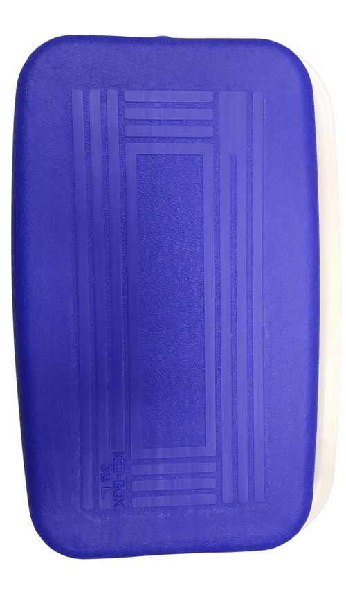 Nevera portátil azul 32 L 44,5 x 39 x 23 cm