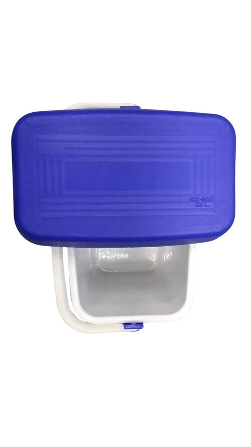 Nevera portátil azul 32 L 44,5 x 39 x 23 cm