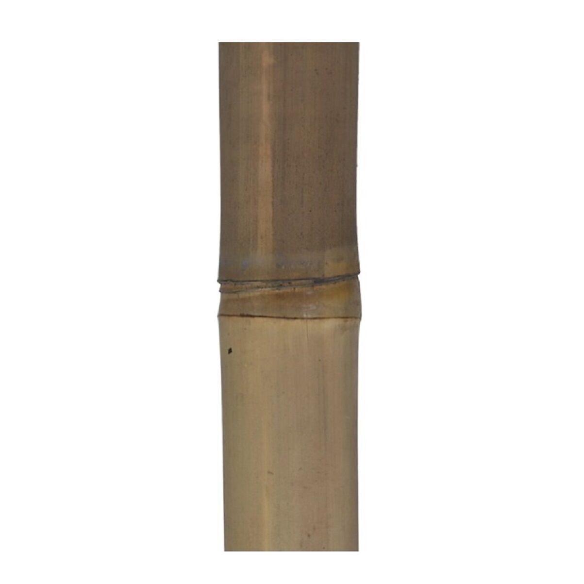 Palo bambú 7 x 180 cm natural