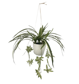 GERIMPORT MACETA COLGAR CINTAS 60 CM