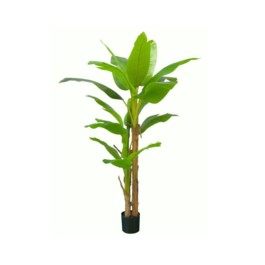 Gerimport Planta Platanero LVS R/T 200cm