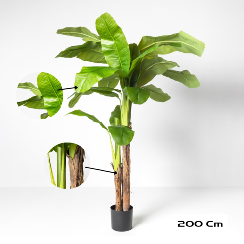 Gerimport Planta Platanero LVS R/T 200cm