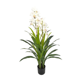 Gerimport Planta Cymbidium Satín 130cm