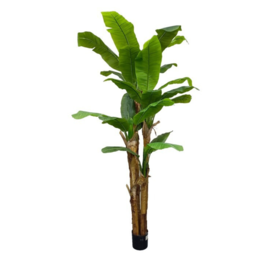 Gerimport Planta Platanero LVS R/T 280cm