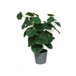 Gerimport Maceta hojas x 36 - 46cm