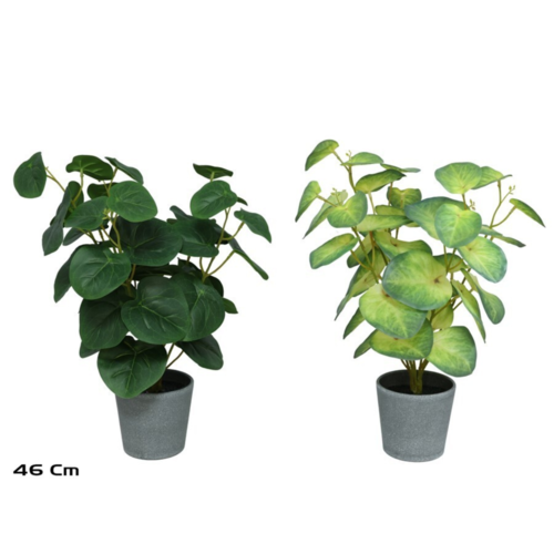 Gerimport Maceta hojas x 36 - 46cm