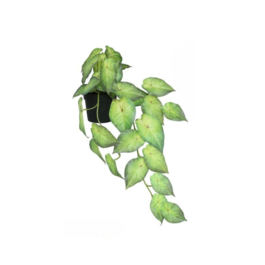 Gerimport Maceta Hojas Green Light x 30 - 46cm