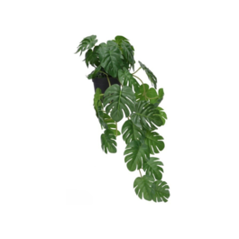Gerimport Maceta Monstera -Potus x 30 - 46cm