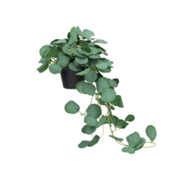 Gerimport Maceta Colgante de Eucalipto - 62 cm