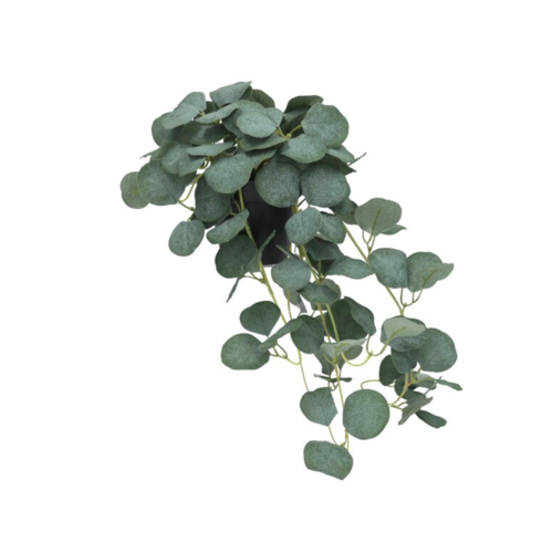 Gerimport Maceta Colgante de Eucalipto - 62 cm