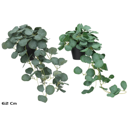 Gerimport Maceta Colgante de Eucalipto - 62 cm