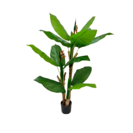 Gerimport Planta Ave del Paraíso x 3 -150cm