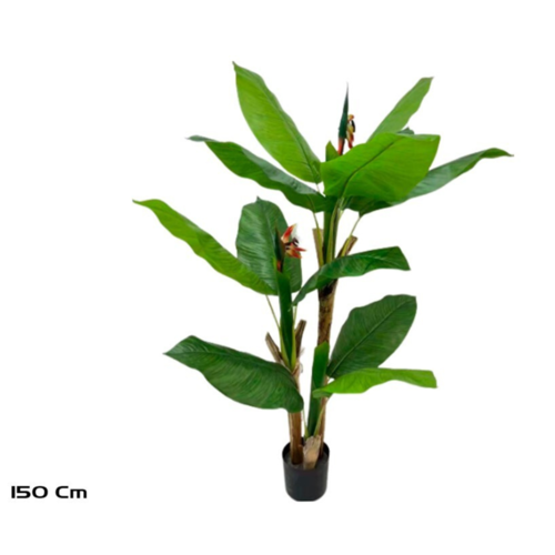 Gerimport Planta Ave del Paraíso x 3 -150cm