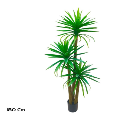 Gerimport Planta Yucca x 3-180cm