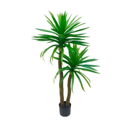 Gerimport Planta Yucca x 2-140cm