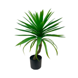 Gerimport Planta Yucca -70cm