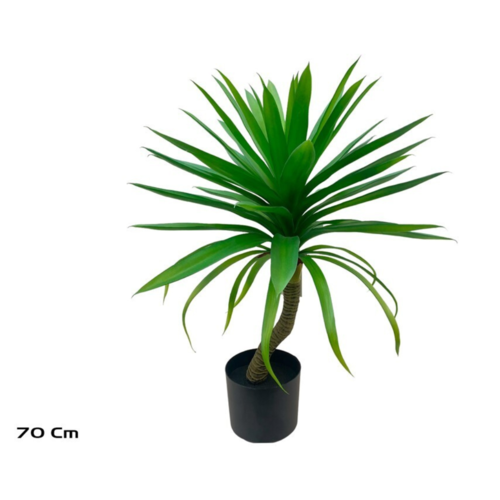 Gerimport Planta Yucca -70cm