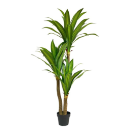 Gerimport Árbol Dracena x 3 - 150cm
