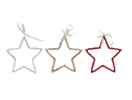 Colgante Estrella rama Liz