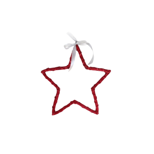 Colgante Estrella rama Liz