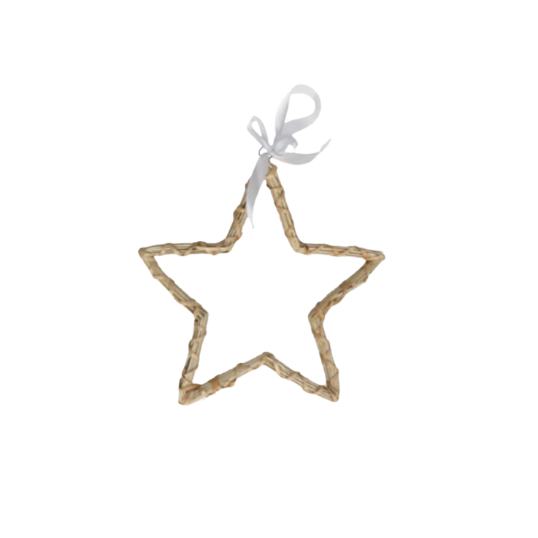 Colgante Estrella rama Liz