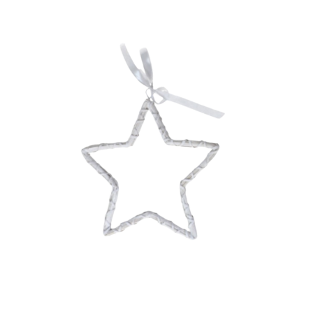 Colgante Estrella rama Liz