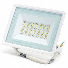 Foco exterior Led 30 W 4000 K color blanco